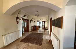 Casa individuala de lux, 410 mp + teren 2760 mp - Campina Muscel