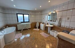 Casa individuala de lux, 410 mp + teren 2760 mp - Campina Muscel