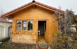 Casa individuala exceptionala, 410 mp, Campina Muscel