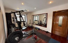 Casa individuala de lux, 410 mp + teren 2760 mp - Campina Muscel