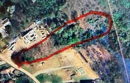 Teren de vânzare Paulesti - 159426TV | BLITZ Ploieşti | Poza1