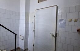 Imobil industrial si multifuncțional, 286 mp, zonă Centrală 