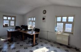 Imobil industrial si multifuncțional, 286 mp, zonă Centrală 