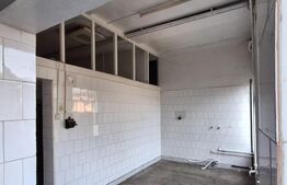 Imobil industrial si multifuncțional, 286 mp, zonă Centrală 