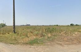 TEREN INTRAVILAN 1ha front 70 ml BUDA