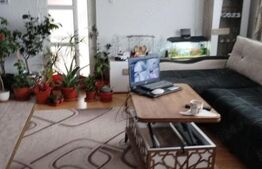 OPORTUNITATE! CASA DE VANZARE IN SECIU CU TERASA SPATIOASA SI CURTE GENEROASA.