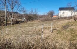 Casa renovata plus teren