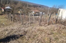 Casa renovata plus teren 2000 mp ,VARBILA