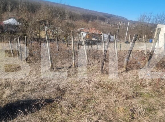 Casa de vânzare 3 camere Iordacheanu - 190324CV | BLITZ Ploieşti | Poza14