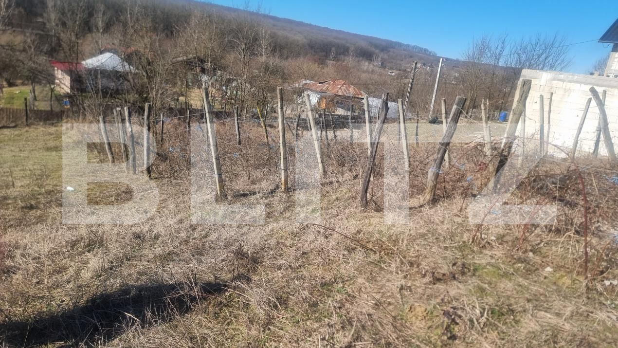 Casa de vânzare 3 camere Iordacheanu - 190324CV | BLITZ Ploieşti | Poza15