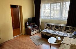 Apartament 2 camere, 41 mp, zona Mihai Bravu