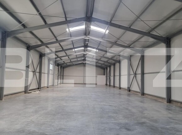 Spațiu industrial de închiriat Brazi - 190844SII | BLITZ Ploieşti | Poza8