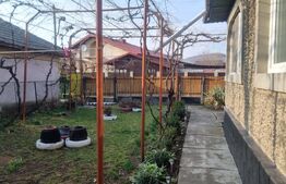  2 CASE 6 camere +teren 736 mp Magureni