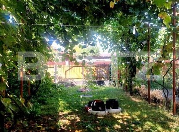 Casa de vânzare 6 camere Magureni - 190975CV | BLITZ Ploieşti | Poza5