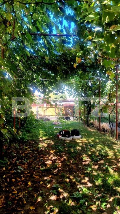 Casa de vânzare 6 camere Magureni - 190975CV | BLITZ Ploieşti | Poza5