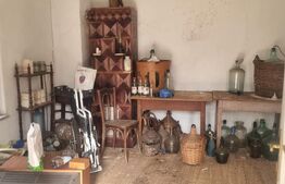 2 CORPURI DE CASA SI 3800 MP TEREN IN BREAZA Prahova