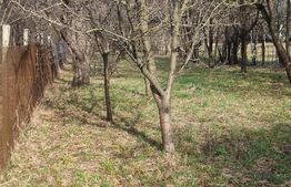 2 CORPURI DE CASA SI 3800 MP TEREN IN BREAZA Prahova