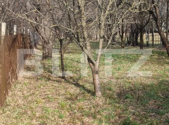 Casa de vânzare 4 camere Breaza - 191105CV | BLITZ Ploieşti | Poza9