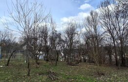 Casă cu teren generos de vânzare în Poiana Câmpina