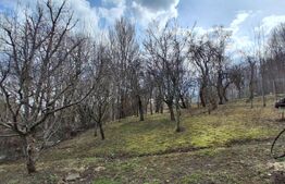 Casă cu teren generos de vânzare în Poiana Câmpina