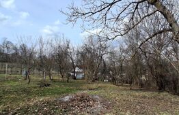 Casă cu teren generos de vânzare în Poiana Câmpina