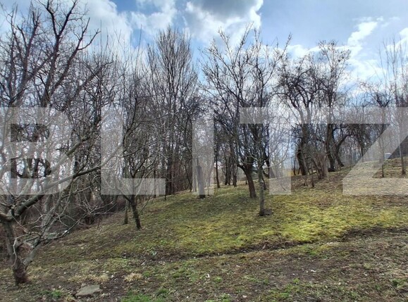 Casa de vânzare 4 camere Campina - 191148CV | BLITZ Ploieşti | Poza17