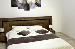 Garsoniera, 40 mp, ULTRACENTRAL - sistem activ AIRBNB -