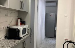 Garsoniera, 40 mp, ULTRACENTRAL - sistem activ AIRBNB -
