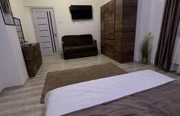Garsoniera, 40 mp, ULTRACENTRAL - sistem activ AIRBNB -