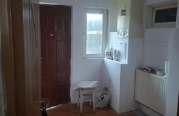 Casa individuala, 125 mp, zona Pictor Rosenthal