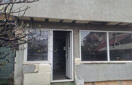 Casa individuala, 125 mp, zona Pictor Rosenthal