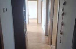 Casa individuala, 125 mp, zona Pictor Rosenthal