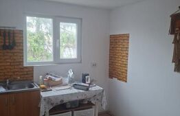 Casa individuala, 125 mp, zona Pictor Rosenthal