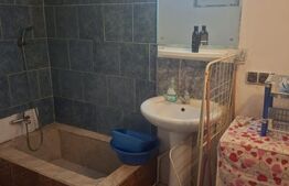 Casa individuala, 125 mp, zona Pictor Rosenthal