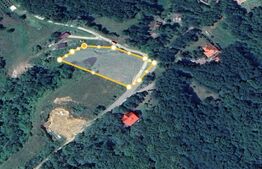 TEREN ideal CASA VACANTA,CASA LOCUIT ,ZONA SUBCARPATICA Valea Teleajenului