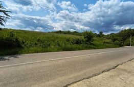 TEREN ideal CASA VACANTA,CASA LOCUIT ,ZONA SUBCARPATICA Valea Teleajenului