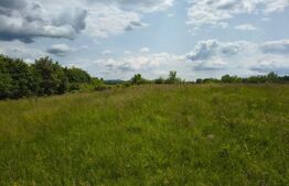 TEREN ideal CASA VACANTA,CASA LOCUIT ,ZONA SUBCARPATICA Valea Teleajenului