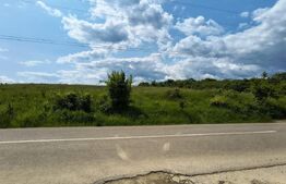 TEREN ideal CASA VACANTA,CASA LOCUIT ,ZONA SUBCARPATICA Valea Teleajenului