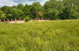 TEREN ideal CASA VACANTA,CASA LOCUIT ,ZONA SUBCARPATICA Valea Teleajenului