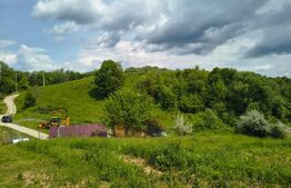 Teren de vânzare Vest - 179571TV | BLITZ Ploieşti | Poza1