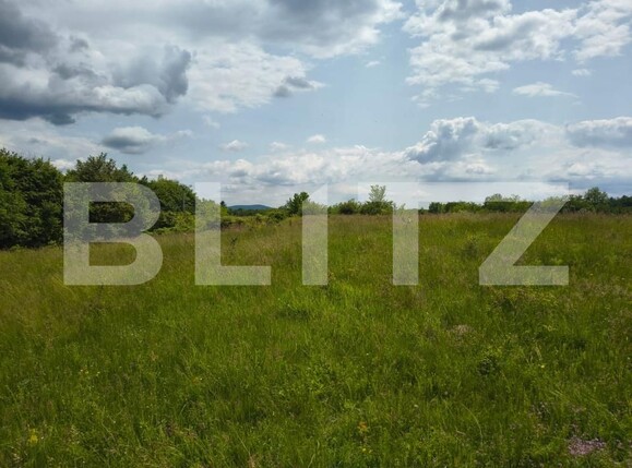 Teren de vânzare Teisani - 192089TV | BLITZ Ploieşti | Poza3