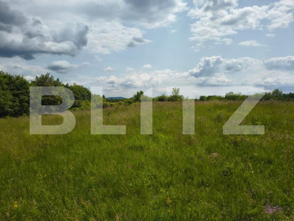 Teren de vânzare Teisani - 192089TV | BLITZ Ploieşti | Poza3