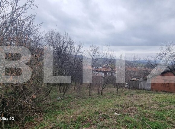 Teren de vânzare Schiulesti - 192116TV | BLITZ Ploieşti | Poza10