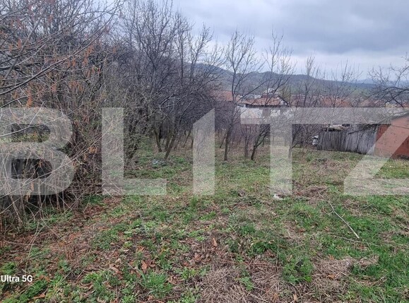 Teren de vânzare Schiulesti - 192116TV | BLITZ Ploieşti | Poza9