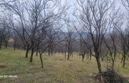TEREN INTRAVILAN VEDERE PANORAMICA La 2 km de Manastirea CRASNA