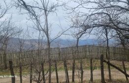 TEREN INTRAVILAN VEDERE PANORAMICA La 2 km de Manastirea CRASNA