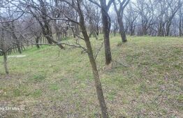 TEREN INTRAVILAN VEDERE PANORAMICA La 2 km de Manastirea CRASNA