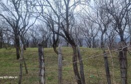 TEREN INTRAVILAN VEDERE PANORAMICA La 2 km de Manastirea CRASNA