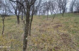 TEREN INTRAVILAN VEDERE PANORAMICA La 2 km de Manastirea CRASNA