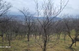TEREN INTRAVILAN VEDERE PANORAMICA La 2 km de Manastirea CRASNA